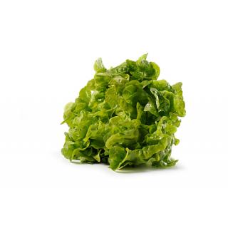 Eichblattsalat grün > aus eigener Ernte