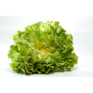 Endiviensalat > aus eigener Ernte