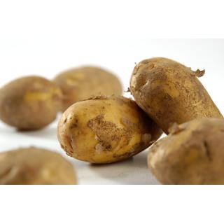 Kartoffeln festkochend 5 kg