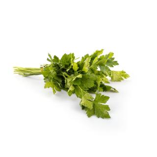 Petersilie glatt > aus eigener Ernte