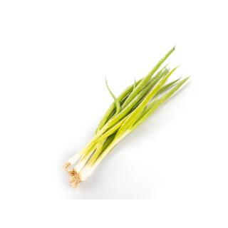 Lauchzwiebeln > aus eigener Ernte