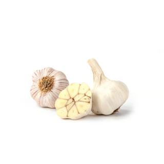 Knoblauch trocken