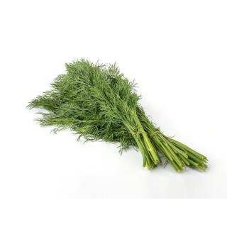 Dill im Bund