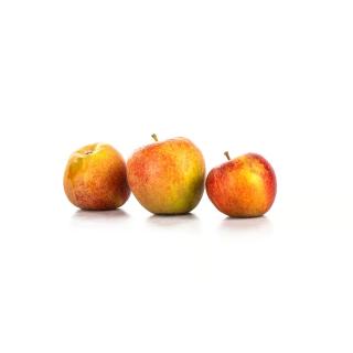 Äpfel Wellant