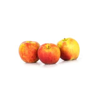 Äpfel Collina > neue Ernte
