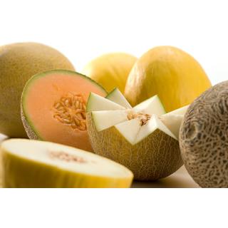 Honigmelone Piel de Sapo > beliebteste Melone Spaniens