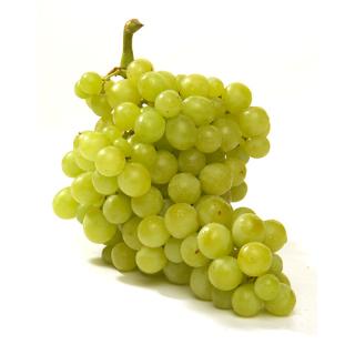 Trauben weiß "Italia"