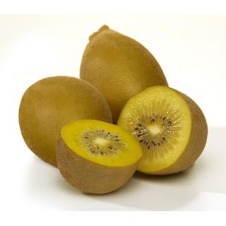 Kiwi Gold