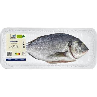 Dorade, ganz, küchenfertig, Naturland