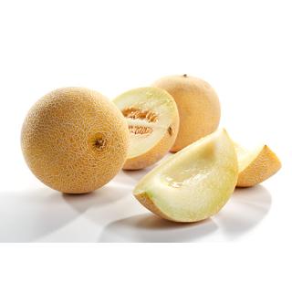 Honigmelone Galia