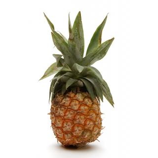 Ananas