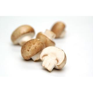 Steinchampignons