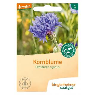 Kornblume  blau