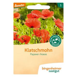 Klatschmohn