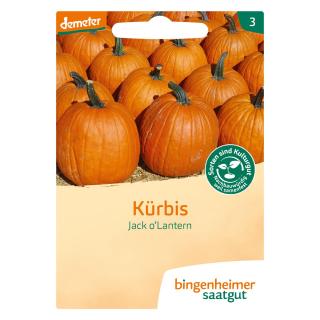 Kürbis Jack o''Lantern