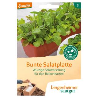 Bunte Salatplatte für den Balkon