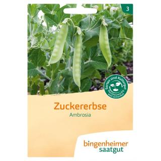 Zuckererbse