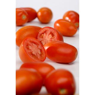 Tomaten Roma