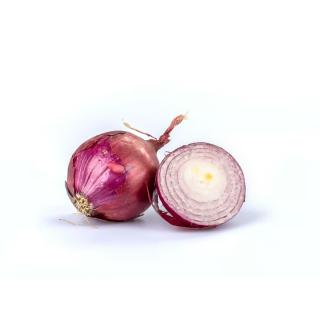 Zwiebeln rot frisch > neue Ernte