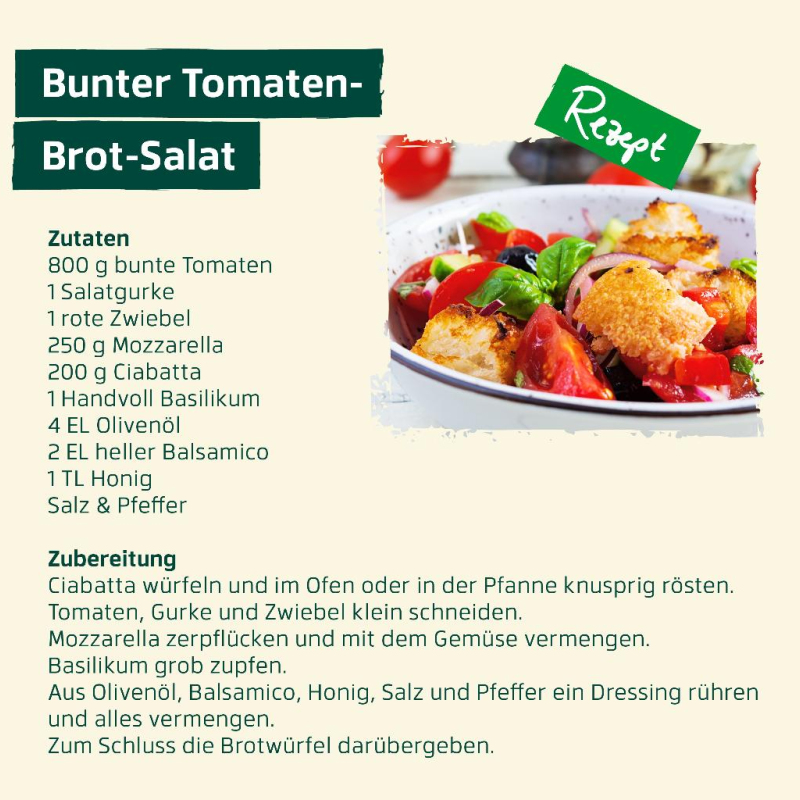 August - Bunter Tomaten-Brot-Salat