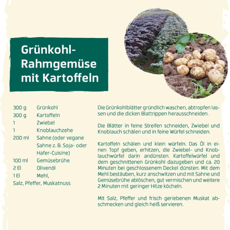 November - Grünkohlrahmgemüse