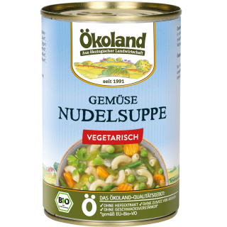 Gemüse-Nudelsuppe vegetarisch